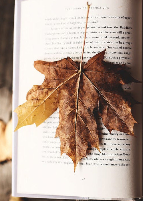 Premium Book Formatting